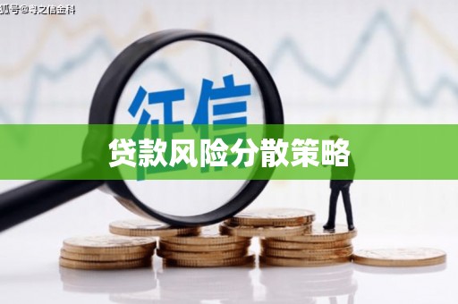 扶绥贷款风险分散策略