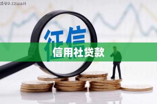 扶绥信用社贷款