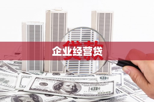 扶绥企业经营贷