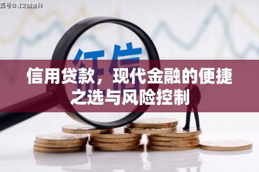 扶绥信用贷款，现代金融的便捷之选与风险控制