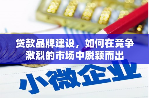 扶绥贷款品牌建设，如何在竞争激烈的市场中脱颖而出