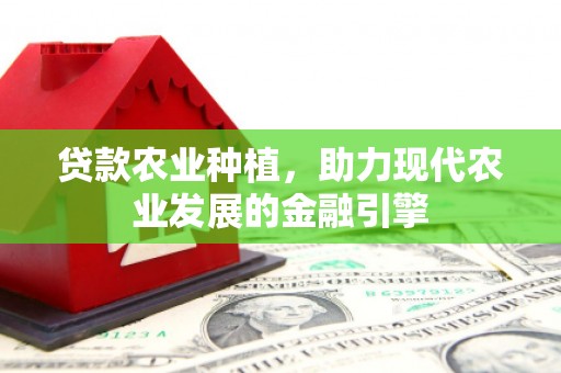 扶绥贷款农业种植，助力现代农业发展的金融引擎