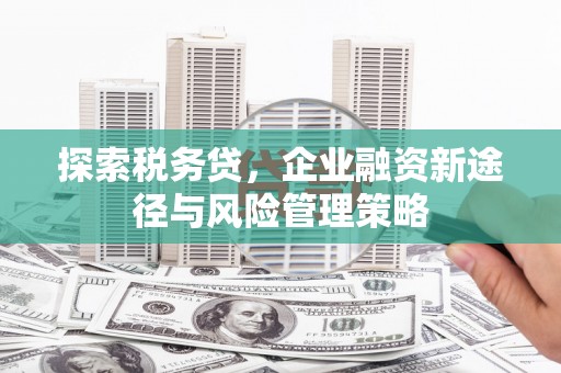 扶绥探索税务贷，企业融资新途径与风险管理策略