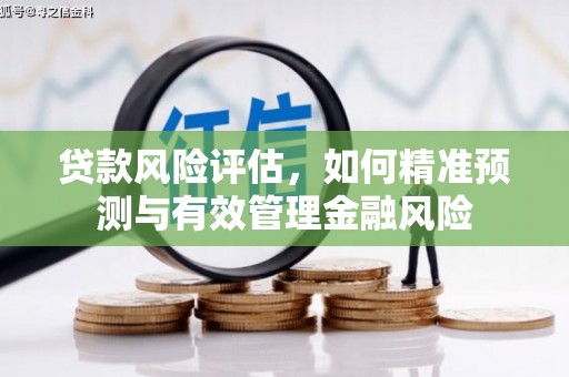 扶绥贷款风险评估，如何精准预测与有效管理金融风险