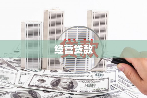 扶绥经营贷款