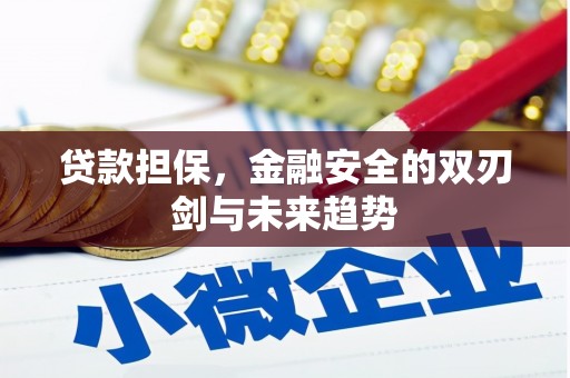 扶绥贷款担保，金融安全的双刃剑与未来趋势