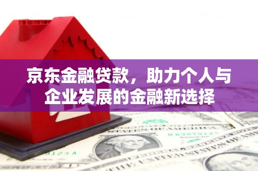 扶绥京东金融贷款，助力个人与企业发展的金融新选择