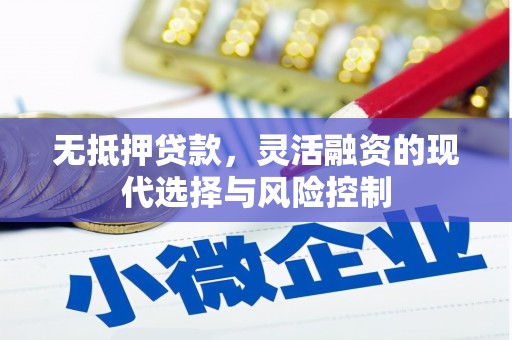 扶绥无抵押贷款，灵活融资的现代选择与风险控制