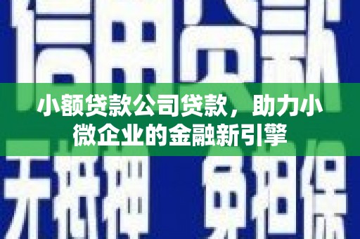 扶绥小额贷款公司贷款，助力小微企业的金融新引擎