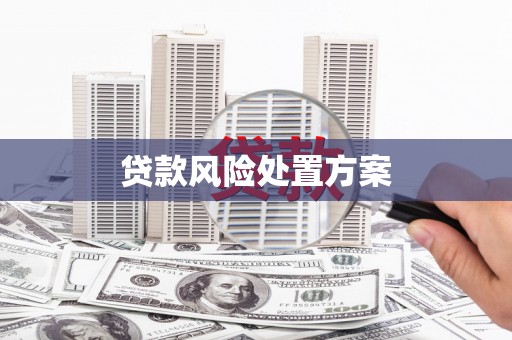 扶绥贷款风险处置方案