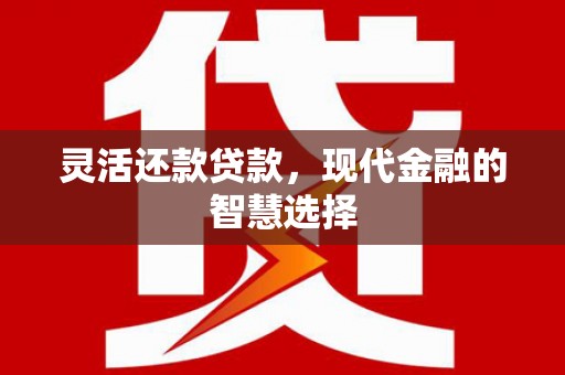 扶绥灵活还款贷款，现代金融的智慧选择