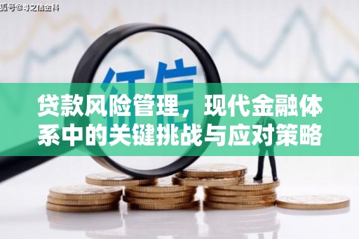 扶绥贷款风险管理，现代金融体系中的关键挑战与应对策略
