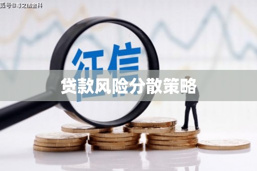 扶绥贷款风险分散策略
