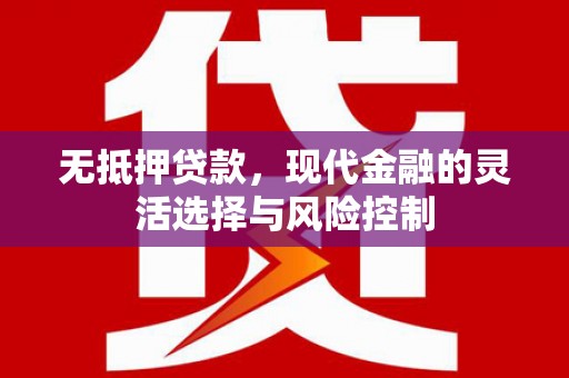 扶绥无抵押贷款，现代金融的灵活选择与风险控制