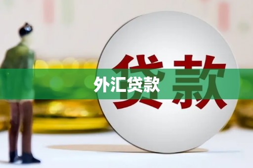 扶绥外汇贷款