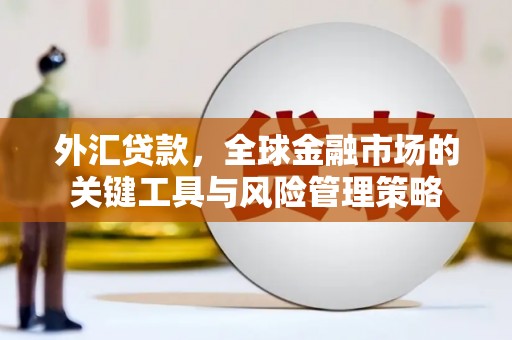 扶绥外汇贷款，全球金融市场的关键工具与风险管理策略