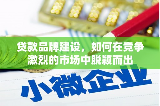 扶绥贷款品牌建设，如何在竞争激烈的市场中脱颖而出