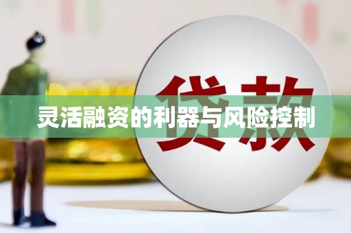 扶绥灵活融资的利器与风险控制