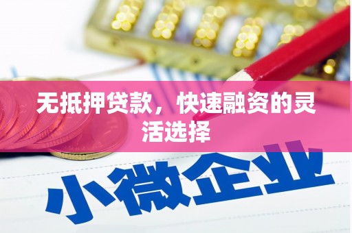 扶绥无抵押贷款，快速融资的灵活选择