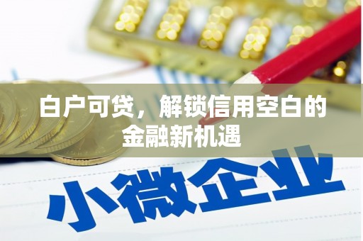 扶绥白户可贷，解锁信用空白的金融新机遇