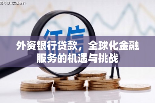 扶绥外资银行贷款，全球化金融服务的机遇与挑战