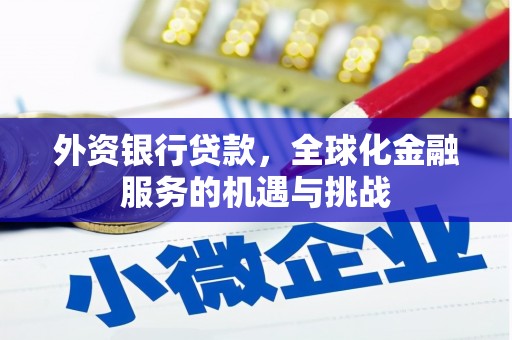扶绥外资银行贷款，全球化金融服务的机遇与挑战