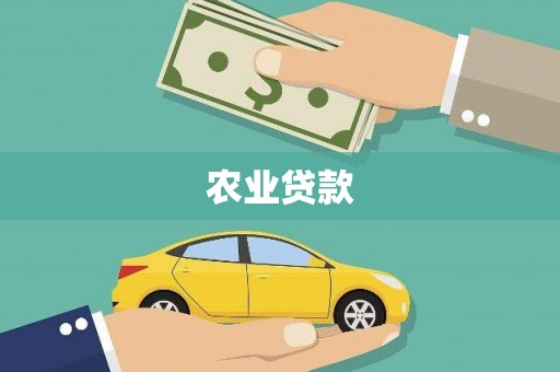 扶绥农业贷款