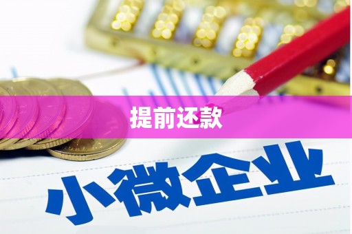 扶绥提前还款