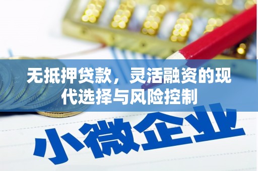 扶绥无抵押贷款，灵活融资的现代选择与风险控制