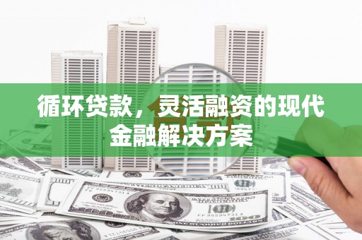 扶绥循环贷款，灵活融资的现代金融解决方案
