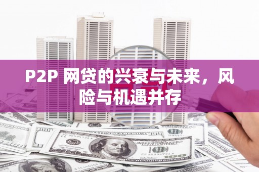 扶绥P2P 网贷的兴衰与未来，风险与机遇并存