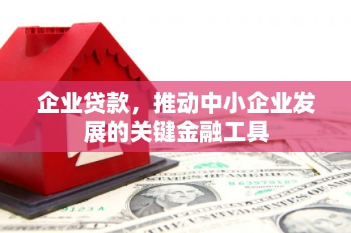 扶绥企业贷款，推动中小企业发展的关键金融工具