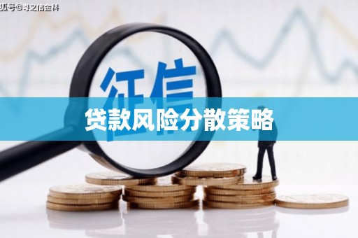 扶绥贷款风险分散策略
