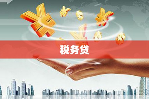 扶绥税务贷