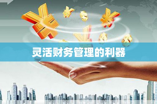 扶绥灵活财务管理的利器