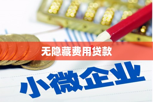 扶绥无隐藏费用贷款