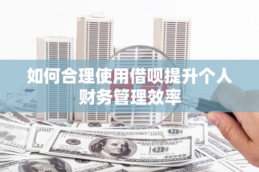 扶绥如何合理使用借呗提升个人财务管理效率