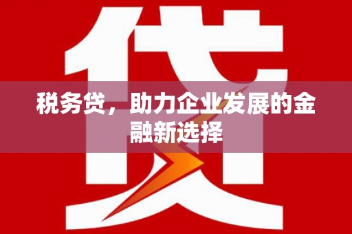 扶绥税务贷，助力企业发展的金融新选择