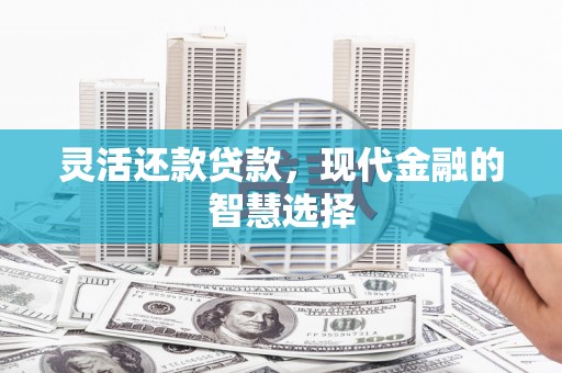 扶绥灵活还款贷款，现代金融的智慧选择