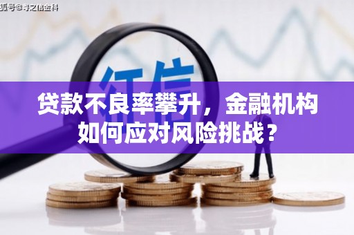 扶绥贷款不良率攀升，金融机构如何应对风险挑战？