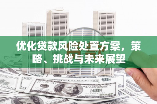 扶绥优化贷款风险处置方案，策略、挑战与未来展望