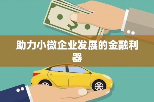 扶绥助力小微企业发展的金融利器
