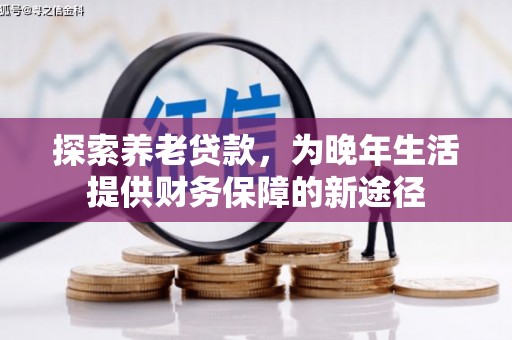 扶绥探索养老贷款，为晚年生活提供财务保障的新途径