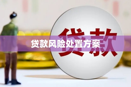 扶绥贷款风险处置方案