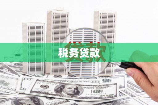 扶绥税务贷款