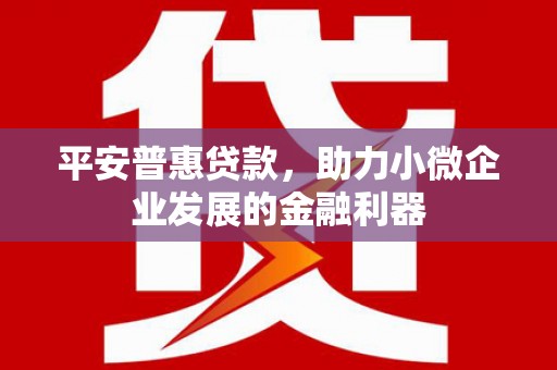扶绥平安普惠贷款，助力小微企业发展的金融利器