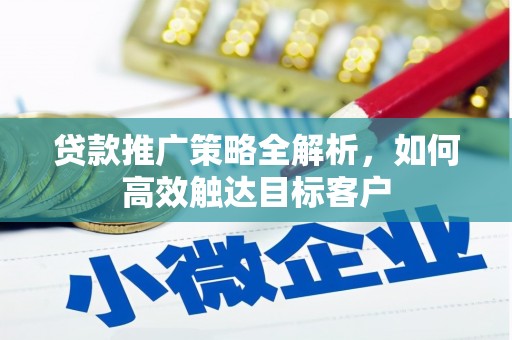 扶绥贷款推广策略全解析，如何高效触达目标客户