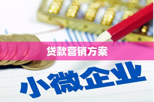扶绥贷款营销方案