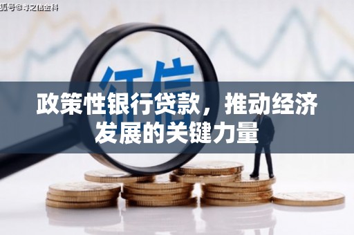 扶绥政策性银行贷款，推动经济发展的关键力量