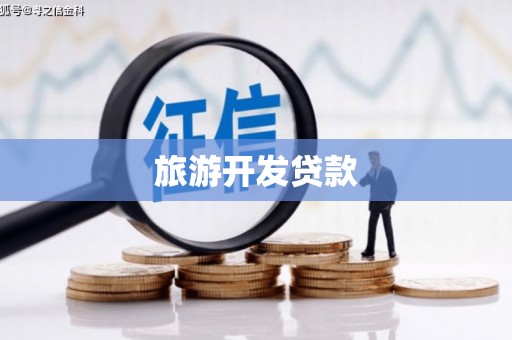扶绥旅游开发贷款